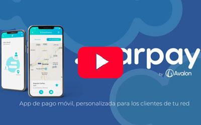 Carpay by Avalon